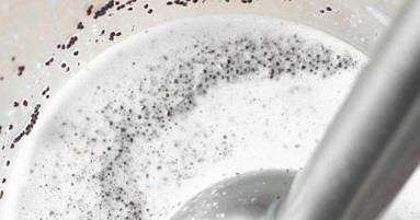 1. Этап. Кутья с изюмом: Перетрите мак блендером, так чтоб выделился белый сок (белое молочко).