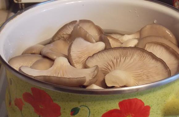 1. Этап. Вешенки соленые с чесноком: Теперь выкладываем грибы в кастрюлю и заливаем водой (литр воды на 1 кг грибов), ставим кастрюлю на огонь и варим вешенки в течение 10 минут. Затем откидываем грибы на дуршлаг и выкладываем в чистую банку, добавляем специи и измельченный чеснок.