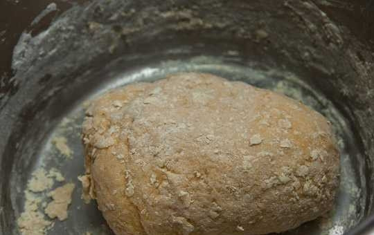 1. Этап. Рецепт Хвороста (классический без молока): 4. Замесите тесто. Заверните его в пленку или пакет и уберите в холодильник на часик.