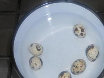 1. Этап. Салат с креветками и китайской капустой: Перепелиные яйца нам тоже необходимо сварить. После закипания варим минут 5.