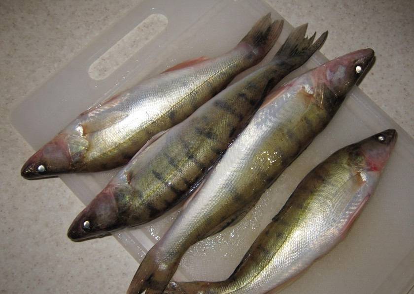 1. Этап. Судак в духовке под сметанным соусом: 1. Рыбку очищаю от чешуи, отрезаю у неё голову, хвост и плавники, немного нужно потрудиться, потому как рыбка небольшая.