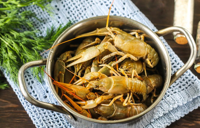 1. Этап. Вареные раки с укропом: Выложите раки в кастрюлю или казан.