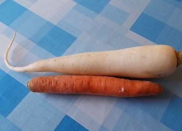 1. Этап. Салат из редьки и моркови: Вот наши ингредиенты для салата. Редька должна быть чуть побольше размером, чем морковь. Для салата можно взять и черную, и зеленую редьку, и вот такую. Очистим наши овощи.