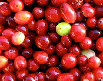 1. Этап. Витаминный напиток Великолепная клюква: 3. Сегодня часто можно купить свежую клюкву в супермаркетах, однако если сейчас ей не сезон, вы можете воспользоваться клюквенно-клубничным соком.