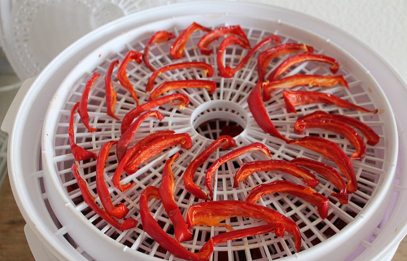 1. Этап. Вяленые перцы на зиму: Вот так выглядит перец через 6 часов. Продолжаем готовить.