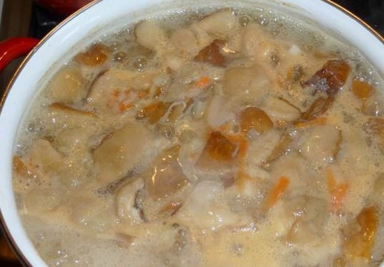 1. Этап. Суп из белых грибов с сыром: Теперь выкладываем морковь с луком в кастрюлю и варим все пару минут.