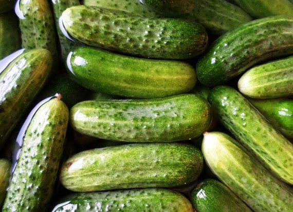 1. Этап. Огурчики с кетчупом на зиму: Залейте огурцы водой часа на 3, чтобы они были потом более хрустящими и вкусными. Время от времени меняйте воду.