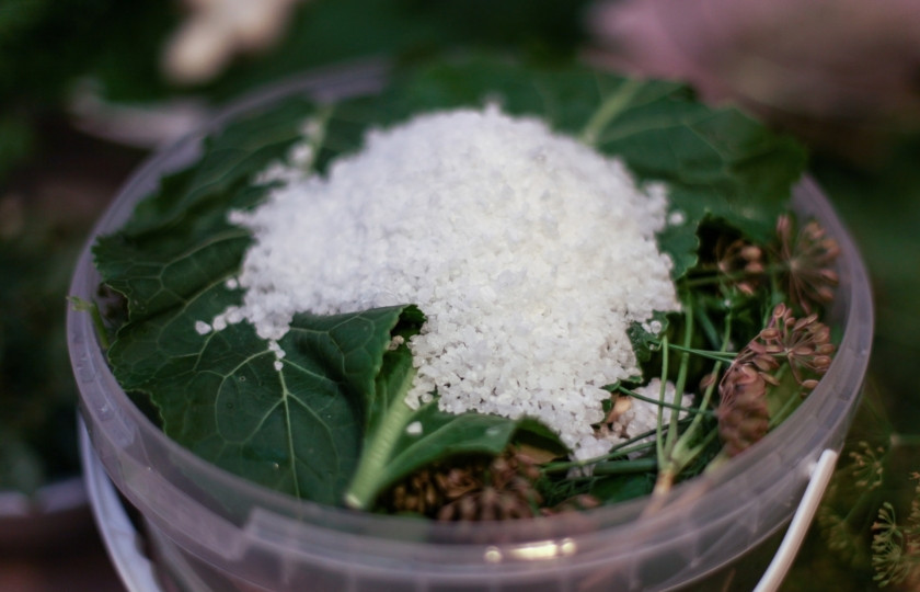 1. Этап. Квашеные огурчики: Накройте сверху огурцы листом хрена, насыпьте соли (4 ст.л. ложки на каждую пластиковую 4-литровую тару).