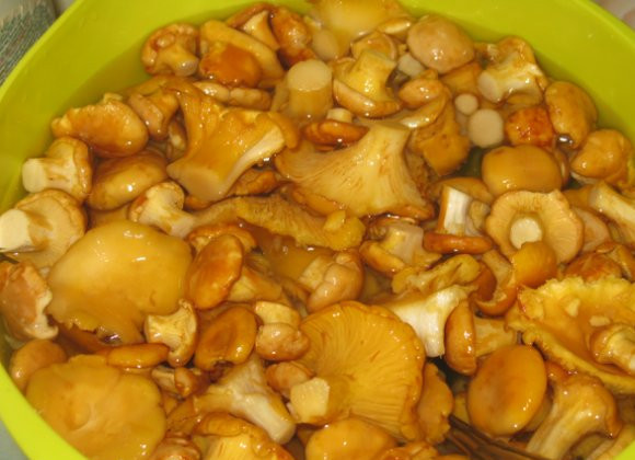 1. Этап. Картошка со свежими грибами жареная: Грибы промываем хорошенько. Лисички сами по себе не крупные, их не нужно мелко резать.