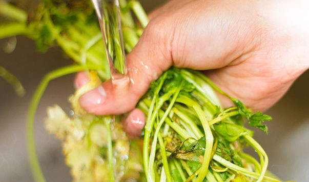 1. Этап. Салат с манго и помидорами: Кориандр помыть и высушить, порезать листья и стебли.