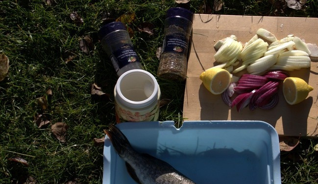 1. Этап. Щука на мангале: Лук почистите и нашинкуйте полукольцами. Лимон помойте и разрежьте пополам. Рыбу почистите, выпотрошите и промойте.