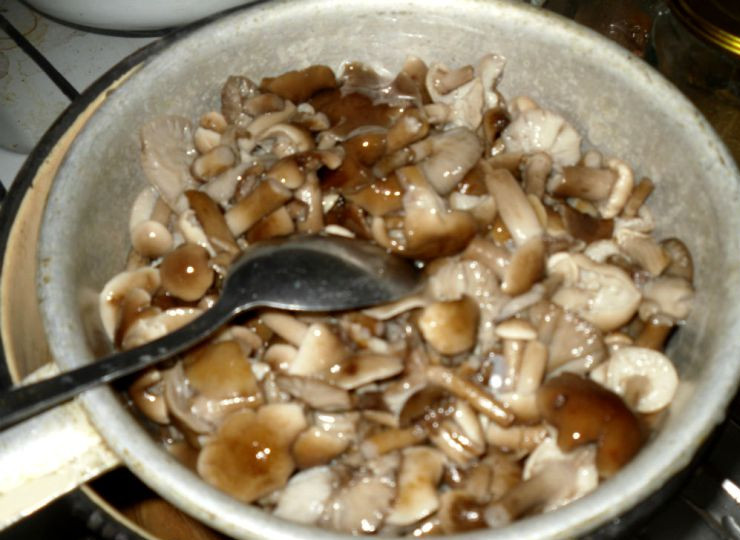 1. Этап. Маринованные опята с чесноком: По истечении времени мы снимаем кастрюлю с огня и откидываем опята на дуршлаг, чтобы стекла вода.