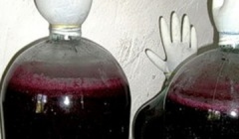 1. Этап. Вино из смородины: Добавить дрожжи, залить чуть теплой водой до 