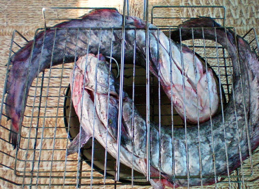 1. Этап. Рыба под белым маринадом: Кладем рыбу на глубокую решетку.