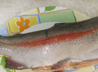 1. Этап. Форель слабосоленая: Выпотрошим форель, отрежем голову. Тщательно промоем и обсушим.