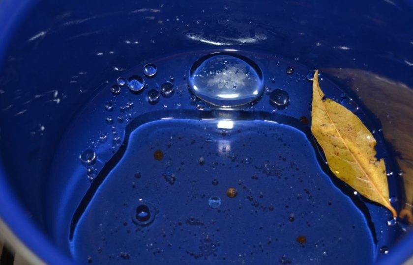 1. Этап. Морской коктейль в рассоле: Влейте к специям масло, уксус и 200 мл воды. Перемешайте. Доведите жидкость до кипения, а потом остудите.