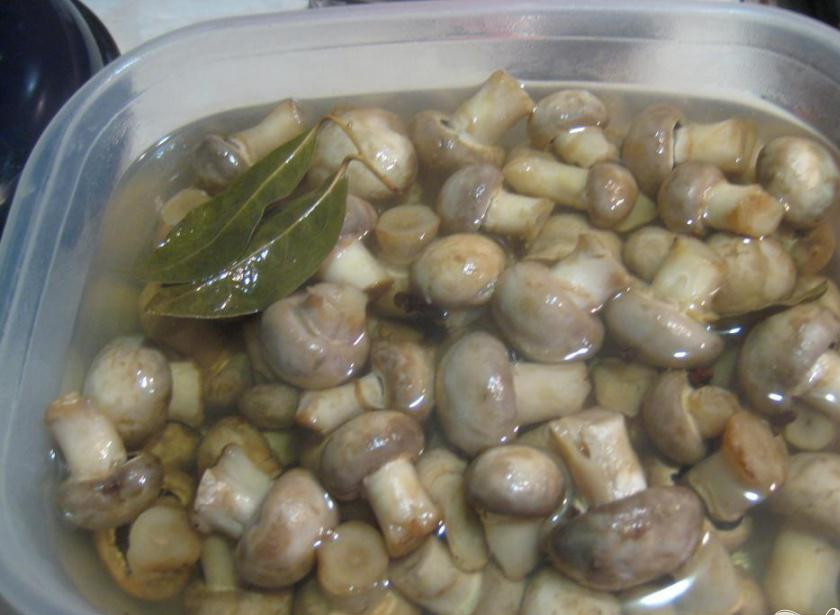 1. Этап. Грибочки маринованные Рождественские: 5. Грибы заливаем кипящим маринадом. Некоторое время даем грибам остыть. После того как маринад остыл, ставим наши грибочки в холодильник. Часов через пять Рождественская закуска будет полностью готова к употреблению.