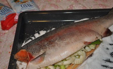 1. Этап. Форель, запеченная в соли: Рыбу вымыть и нафаршировать нарезанным фенхелем. Высыпать на противень половину соли и уложить на соль рыбу.