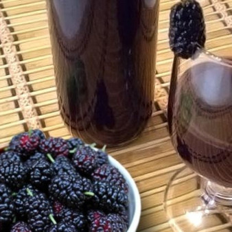 Вино из шелковицы