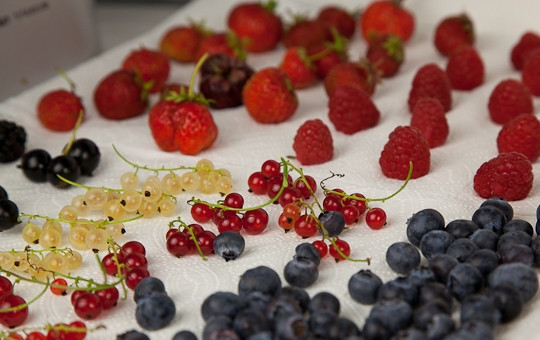 1. Этап. Песочные корзиночки с ягодами: Разложите ягоды на салфетку чтобы она впитала влагу. Сделайте желатин. Высыпьте его в стакан сока. Подождите, пока желатин набухнет (40-60 минут), и потом нагрейте на водяной бане.