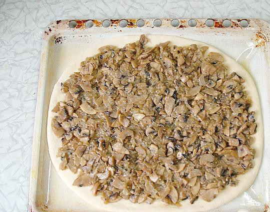 1. Этап. Пресный пирог с грибами: 5. Остывшие грибы выкладываем на корж, равномерно распределяем по коржу (примерно 1 сантиметр оставляем по краям).