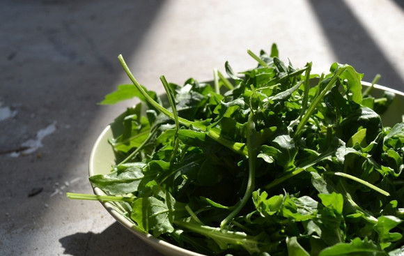 1. Этап. Салат из рукколы с кедровыми орешками: Промойте и обсушите рукколу с латуком. Переложите зелень в салатницу.