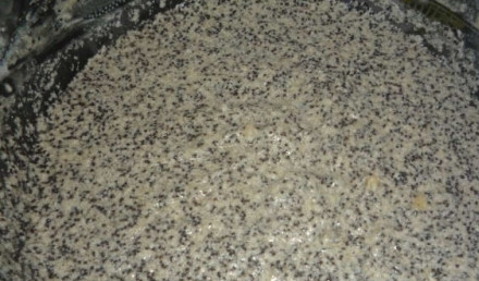 1. Этап. Шарлотка с маком и яблоками: В оставшуюся половину теста добавить мак и вылить в форму.