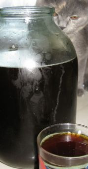 1. Этап. Квас из концентрата: Охлажденный квас готов к употреблению! Приятного аппетита!