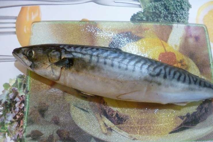 1. Этап. Сагудай из скумбрии: Скумбрию достаньте из морозилки, дайте ей постоять при комнатной температуре и оттаять. Затем рыбу вымойте, удалите голову, кишки, отрежьте плавники.