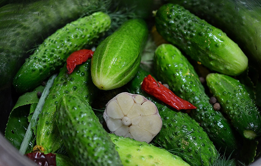 1. Этап. Огурцы соленые (без уксуса): 4. В большую кастрюлю выложите огурцы, пересыпая душистым перцем, травами, чесноком.