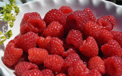 1. Этап. Малиновые пирожки: 3. Малину вымыть и откинуть на дуршлаг, чтобы стекла лишняя жидкость. Добавлять или нет сахар - зависит от ваших вкусовых предпочтений и сладости самой ягодки.