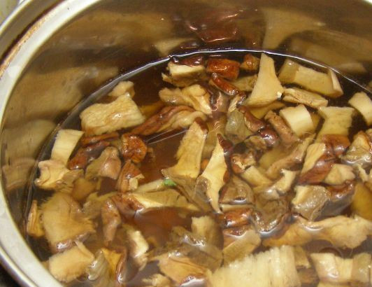 1. Этап. Грибная лапша из сушеных грибов: Перекладываем грибы в кастрюлю и заливаем водой, в которой они настаивались. Варим 10 минут.