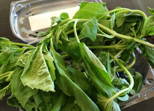 1. Этап. Новогодняя закуска Капрезе: 4. Вымойте и обсушите базилик.