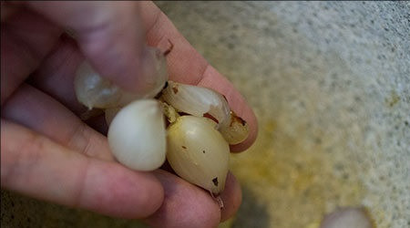 1. Этап. Тайский рыбный суп: 4. Следом лук-шалот.