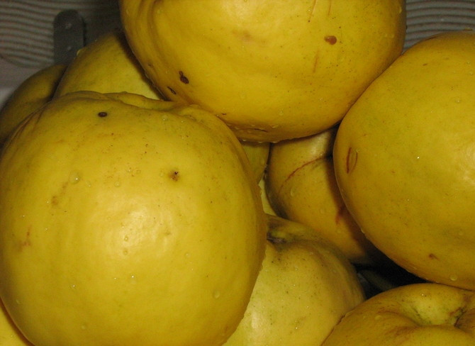 1. Этап. Варенье из айвы: Взять спелую айву.