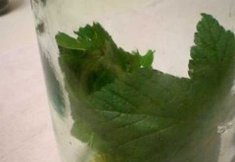 1. Этап. Огурцы консервированные сладкие: Уложить на дно банки специи.