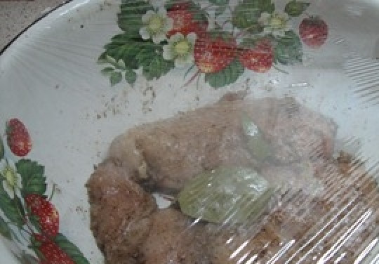 1. Этап. Балык из грудки индейки: Уложите мясо в глубокую миску или тарелку, накройте пищевой пленкой. Поставьте емкость в холодильник на сутки.