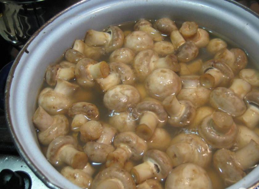 1. Этап. Грибочки маринованные Рождественские: 2. Теперь заливаем в грибы холодную воду и ставим на огонь. После того как вода закипит, провариваем их еще минут пять, и снимаем образовавшуюся пенку.