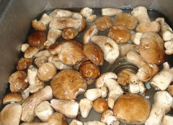 1. Этап. Суп из белых грибов свежих: Замочите грибы минут на 30, чтобы отмокла лесная грязь. Затем промойте, очистите и порежьте на куски.