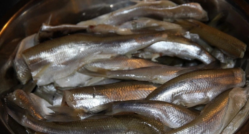 1. Этап. Корюшка в маринаде: 1. Рыбку очищаем: отрезаем у неё голову, разрезаем брюхо, вычищаем все внутренности. Тщательно промываем внутри и снаружи, откидываем на сито, чтобы ушла лишняя влага.