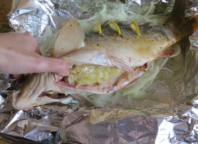 1. Этап. Фаршированный карп в фольге: Расстелите фольгу, смажьте ее растительным маслом. Выложите на нее нарезанный лук. Нашпигуйте карпа обжаренной на оливковом масле капустой, положите его поверх лука.