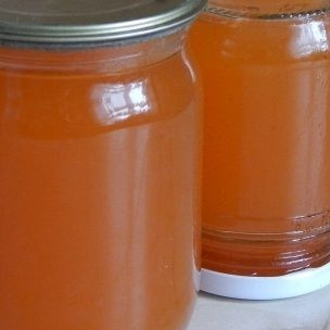 Сироп из плодов шиповника