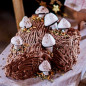 Chocolate hazelnut yule log with meringue mushrooms