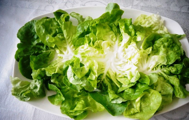 1. Этап. Овощной салат с филе сельди: 4. Оформляем наш салат на большом блюде. Выкладываем промытые и просушенные листья салата.