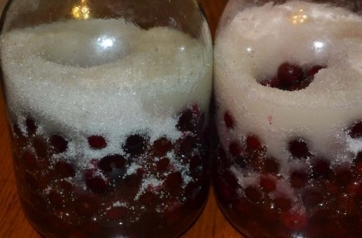 1. Этап. Настойка вишневая на водке: 2. В каждую банку насыпаем 500 грамм сахарного песка и заливаем 250 миллилитров водки. Встряхиваем банку, чтобы все перемешалось, и оставляем в теплом и темном месте на 6-7 дней.