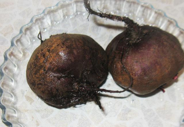 1. Этап. Салат из вареной свеклы: Свеклу сварить в кожуре.