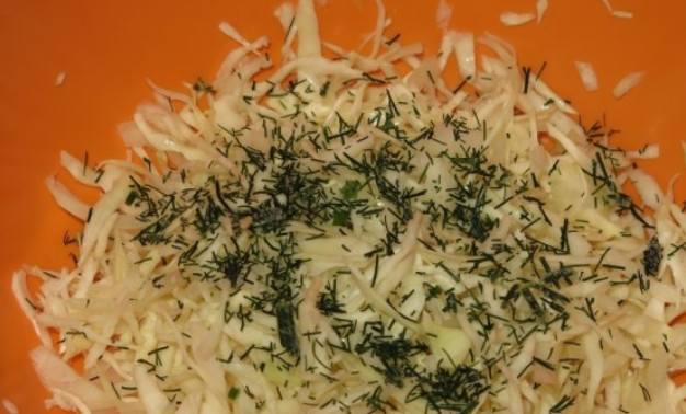 1. Этап. Салат из свежей капусты и огурцов: Капусту нашинкуйте и помните руками. Перемешайте в глубокой тарелке с измельченным укропом и луком.