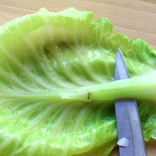 1. Этап. Голубцы с мясом: Острым ножом аккуратненько срезаем острые прожилки капусты.