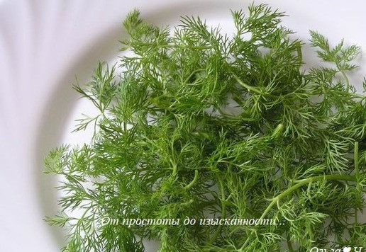 1. Этап. Салат из бланшированной моркови: Укроп или другую зелень разложите по тарелкам.