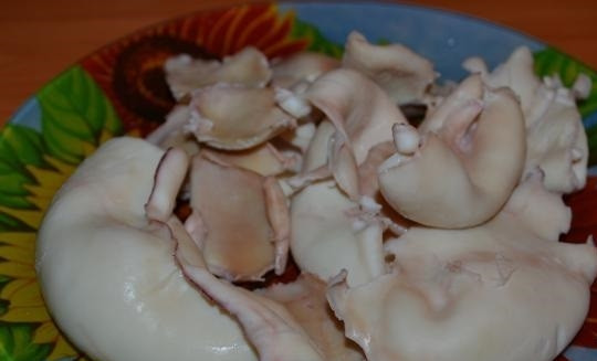 1. Этап. Салат Новогодний фейерверк: 1. В подсоленной воде отварите предварительно очищенные от пленок кальмары. Остудите немного.